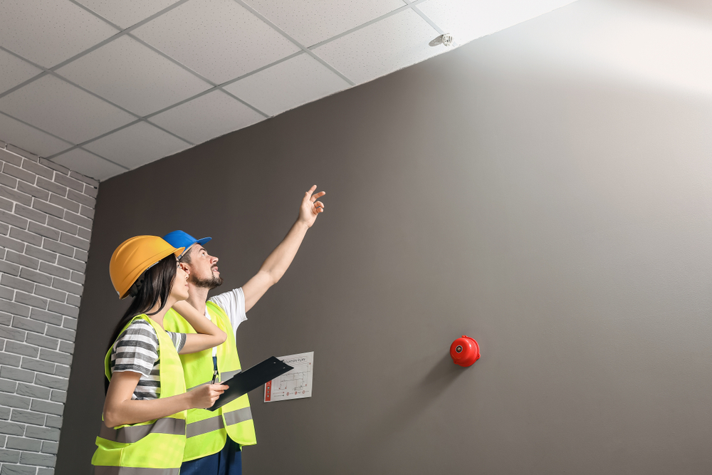 Renovlies voorbereiden in Zaandam voor een goede ondergrond en hechting van het behang.
